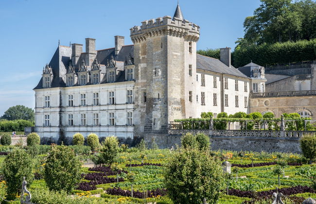Excursión a los castillos de Villandry y Azay-le-Rideau - Foto 6