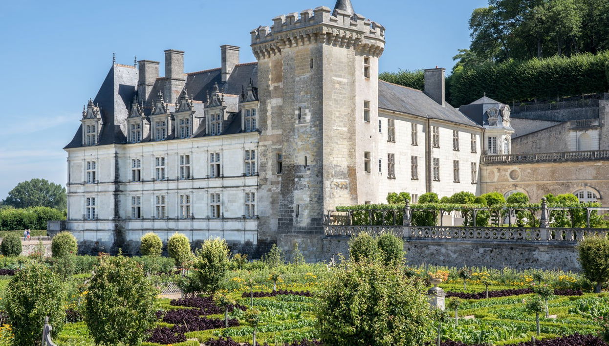 Excursión a los castillos de Villandry y de Azay-le-Rideau + Bodegas del Loira - Foto 1