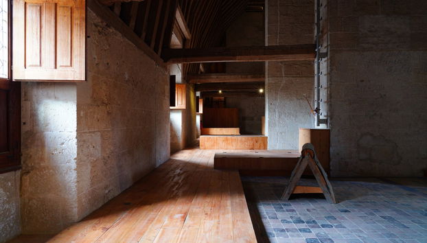 Excursión a los castillos de Villandry y Azay-le-Rideau - Foto 3