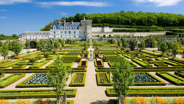 Excursión a los castillos de Villandry y Azay-le-Rideau - Foto 5