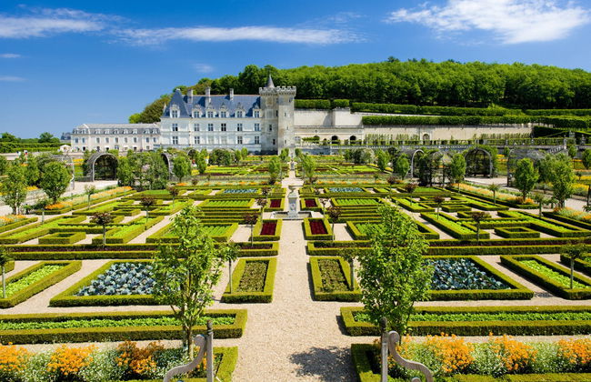 Excursión a los castillos de Villandry y Azay-le-Rideau - Foto 5
