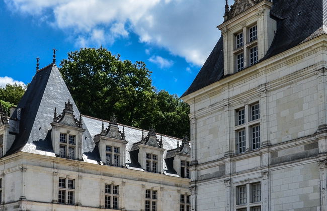 Visite des châteaux de Villandry et d'Azay-le-Rideau - Photo 3