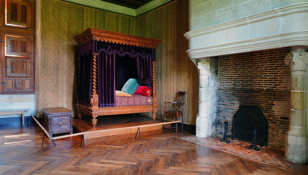 Excursión a los castillos de Villandry y de Azay-le-Rideau + Bodegas del Loira - Foto 5