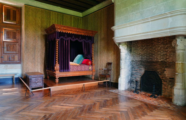 Excursión a los castillos de Villandry y Azay-le-Rideau - Foto 4