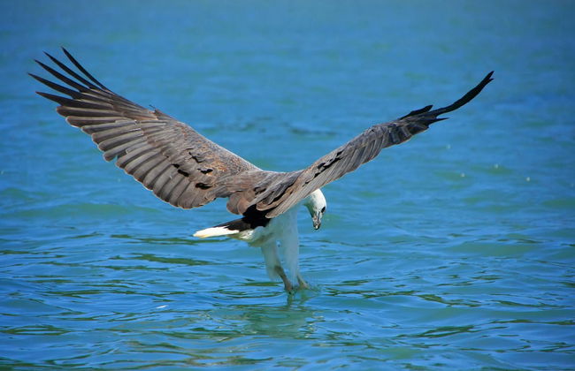 Excursion sur l'île de Beras Basah - Photo 1