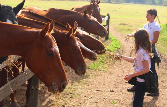 Paseo a caballo por la Estancia Villa María - Foto 4