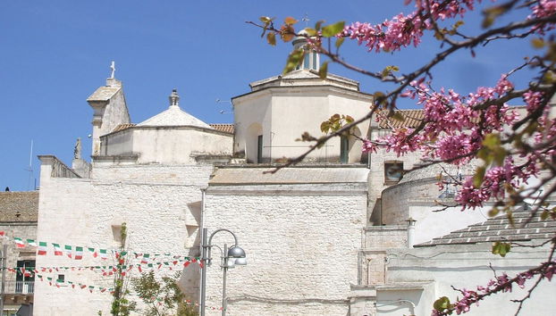 Cisternino Private Guided Tour - Photo 3