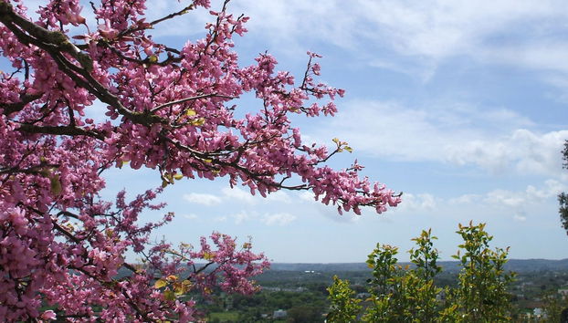 Cisternino Private Guided Tour - Photo 2
