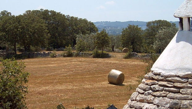 Cisternino Private Guided Tour - Photo 5