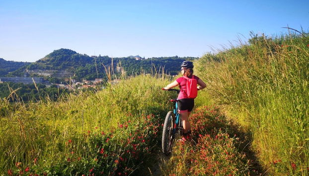 Rupe Trail Private Hike - Photo 5