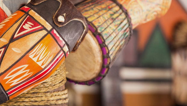 Lion Safari Park + Village Culturel de Lesedi - Photo 4