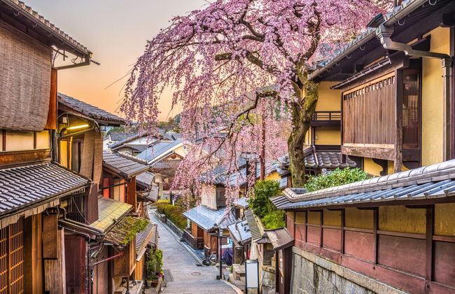 Free tour di Kyoto - Foto 2