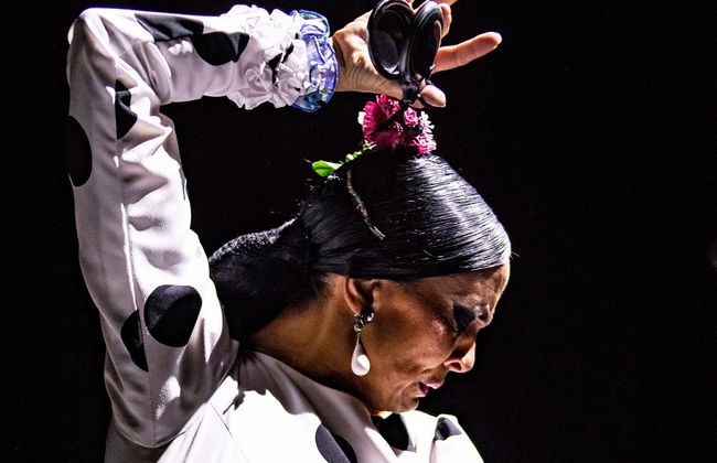 Spettacolo al Teatro Flamenco Sevilla - Foto 1