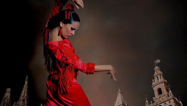 Spettacolo al Teatro Flamenco Sevilla - Foto 3