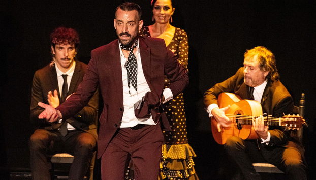 Spettacolo al Teatro Flamenco Sevilla - Foto 2
