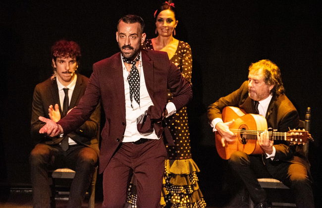 Spettacolo al Teatro Flamenco Sevilla - Foto 2