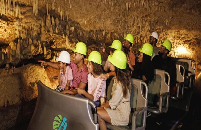 Aventura artesanal, de cuevas y naturaleza en Barbados - Excursión de medio día - Foto 2