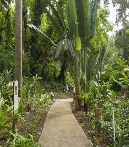 Foto de Aventura artesanal, de cuevas y naturaleza en Barbados - Excursión de medio día