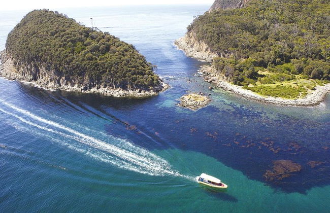 Bruny Island Cruise - Foto 2