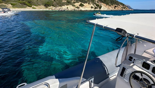 Figarolo Island Dolphin Sighting Tour - Foto 2