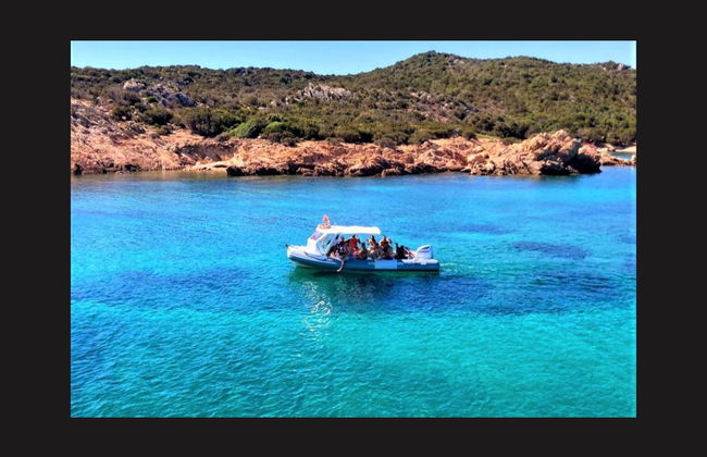Figarolo Island Dolphin Sighting Tour - Photo 2