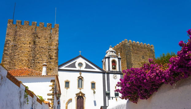 Óbidos Guided Tour + Ginginha Tasting - Photo 2