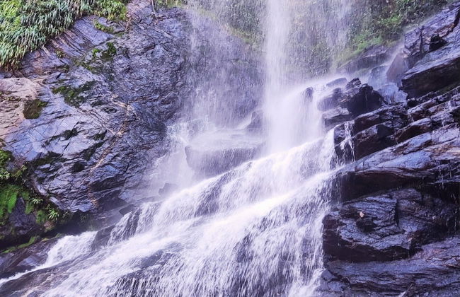 Senderismo por las cascadas de Angra dos Reis - Foto 2