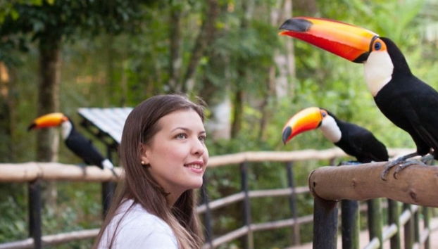 Lado brasileño de las Cataratas del Iguazú + Parque das Aves - Foto 4