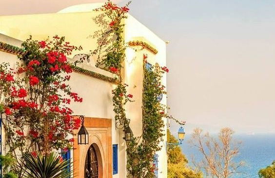 Tour por Túnez, Cartago y Sidi Bou Said para cruceros - Foto 5