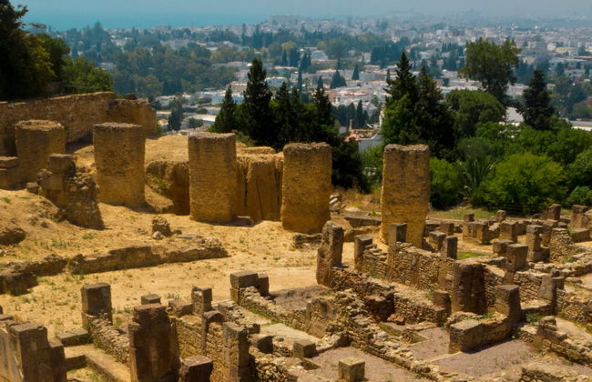 Tour por Túnez, Cartago y Sidi Bou Said para cruceros - Foto 6