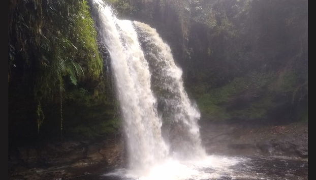 Tres Chorros Waterfall Private Tour - Photo 5