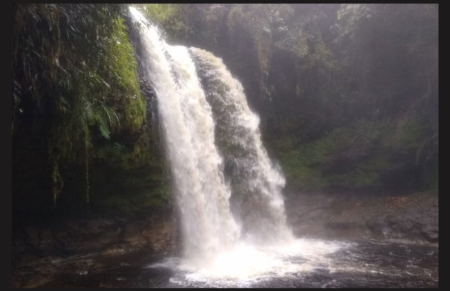 Excursión privada a la cascada Tres Chorros - Foto 5