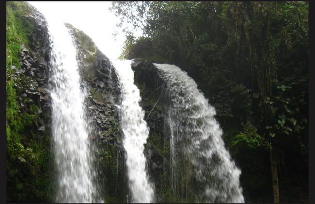 Excursión privada a la cascada Tres Chorros - Foto 2