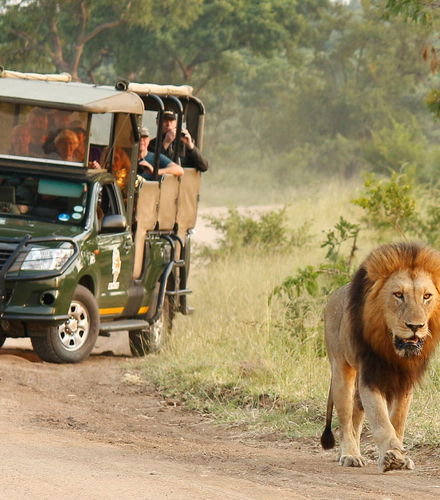 Foto de Safari de 3 días por el Parque Nacional Kruger
