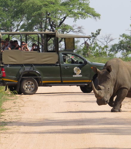 Foto de Safari de 5 días por el Parque Nacional Kruger