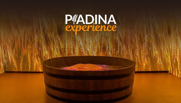 Visita al museo Piadina Experience - Foto 5