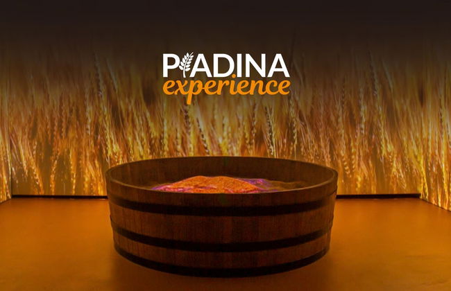 Visita al museo Piadina Experience - Foto 5