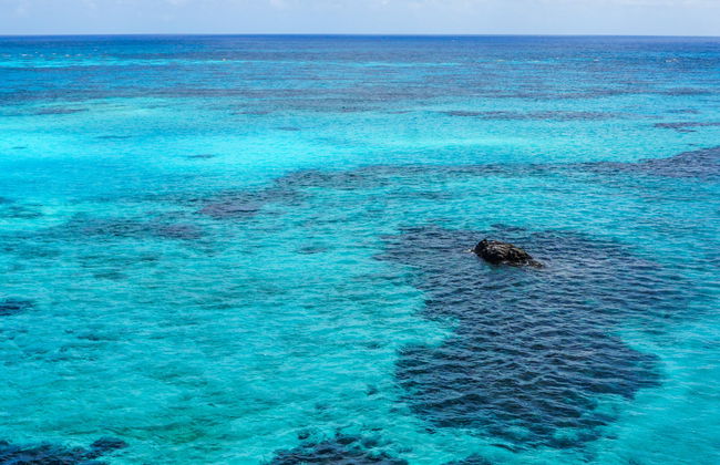 Excursión a Punta Arrecife - Foto 7