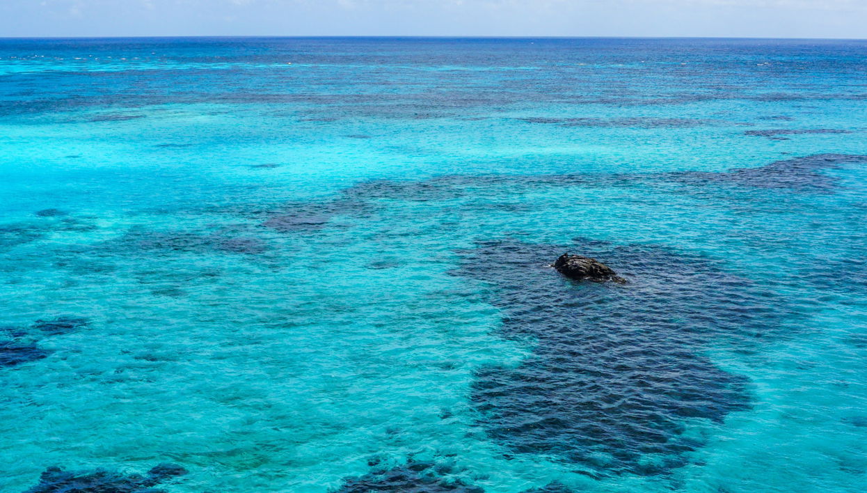 Punta Arrecife Excursion - Foto 1