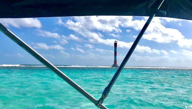 Punta Arrecife Excursion - Foto 2