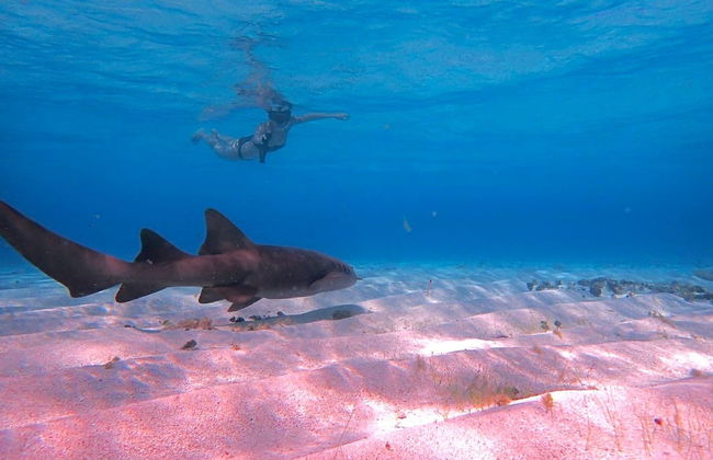 Excursión a Punta Arrecife - Foto 3