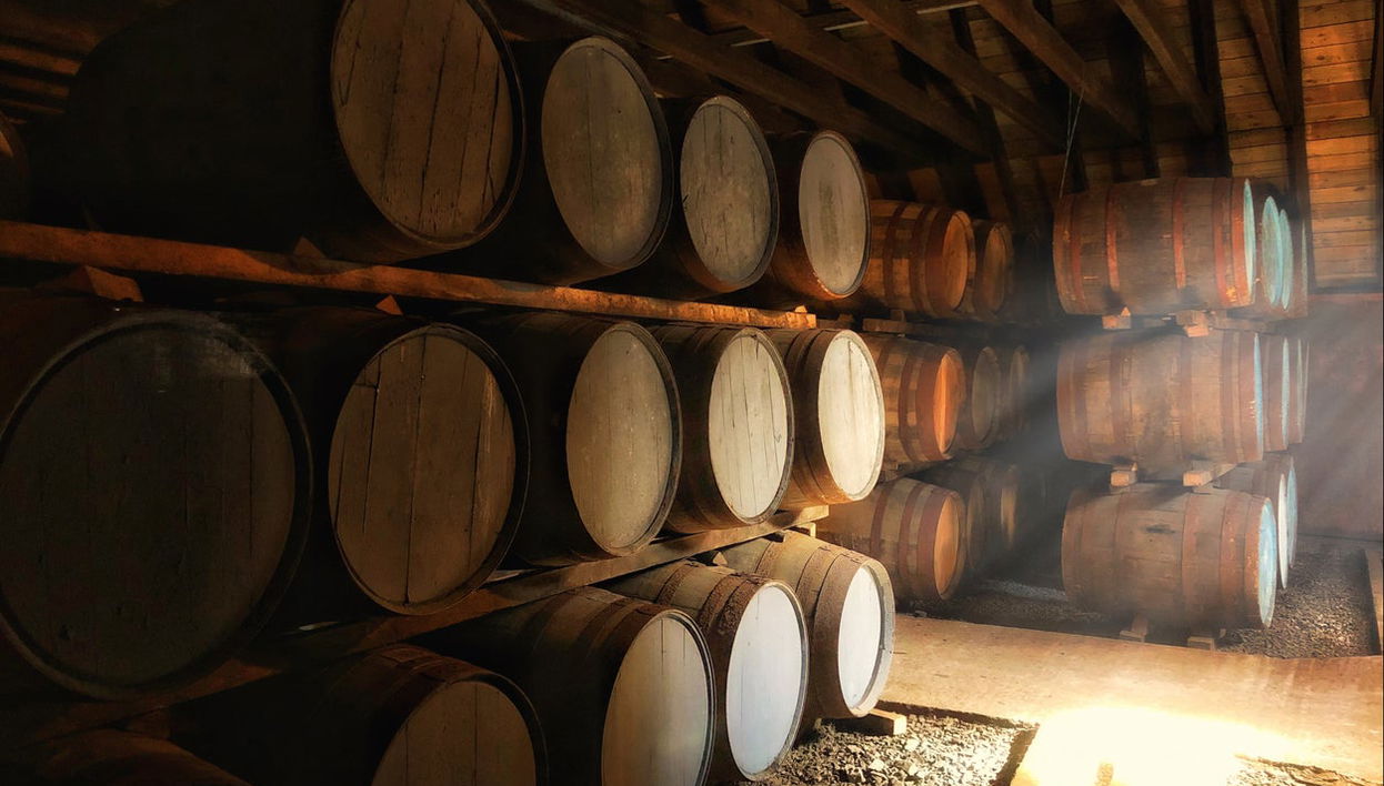 Degustación de whisky en Oban - Foto 1