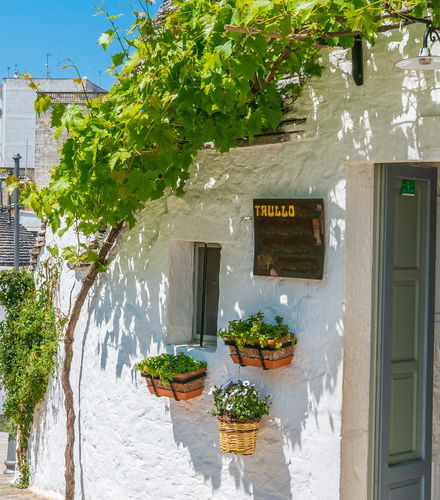Foto de Excursión a Alberobello