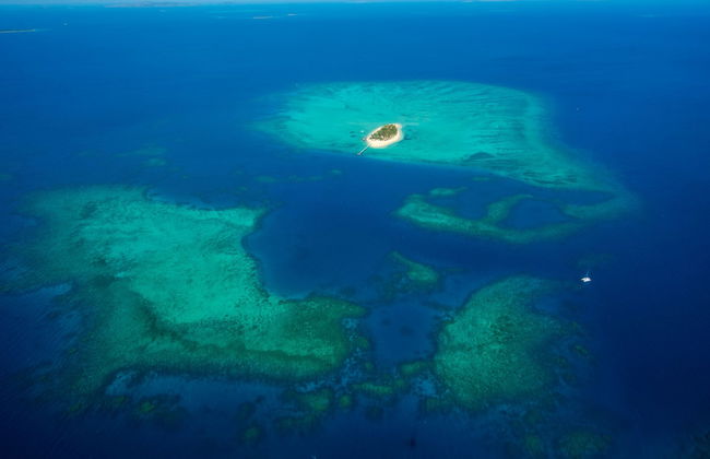 Tivua Island Day Trip - Photo 5