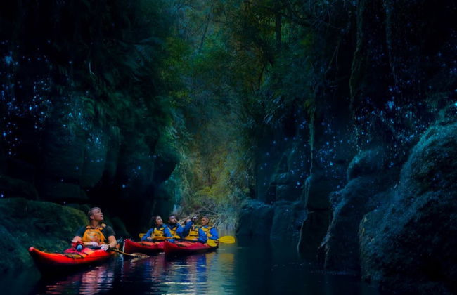 Tour en kayak por el lago McLaren con avistamiento de luciérnagas - Foto 4