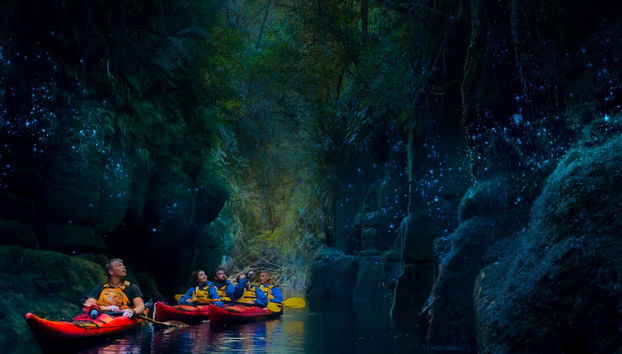 Evening Glowworm Kayaking Tour - Photo 4