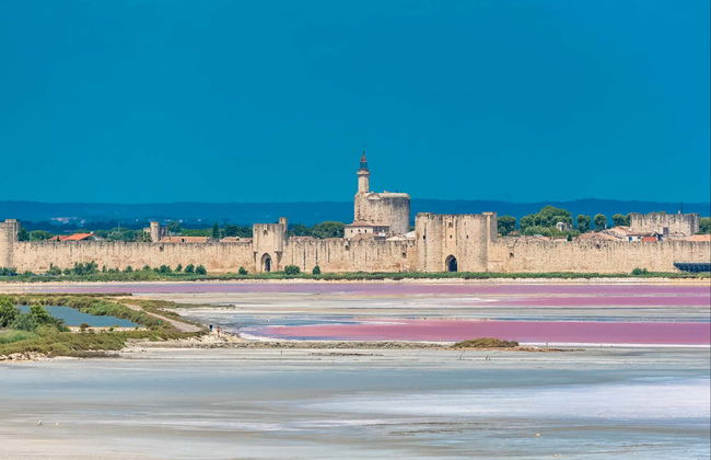 Escursione a Camargue, Saintes Maries de la Mer e Aigues-Mortes - Foto 5