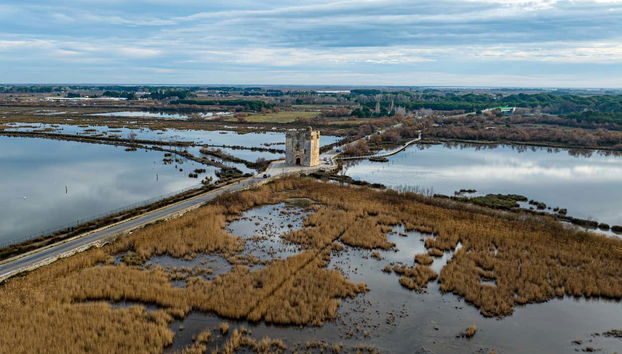 Escursione a Camargue, Saintes Maries de la Mer e Aigues-Mortes - Foto 3