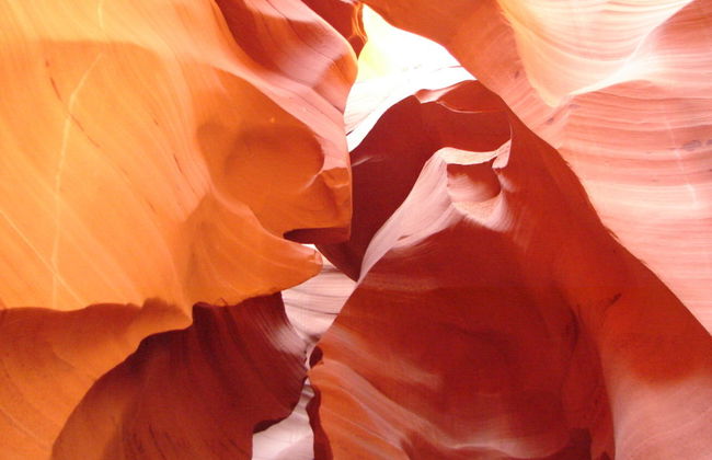 Antelope Canyon & Horseshoe Bend Tour - Photo 1