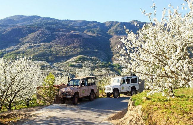Tour en 4x4 por el Valle del Jerte + Recogida de cerezas - Photo 3